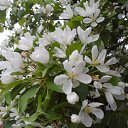 ���� ������, �����-��������� - ��������� 28 ���� 2015 � ������ ������ ��������