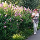 ���� ������, ����� - ��������� 1 ���� 2015 � ������ ���� ����������