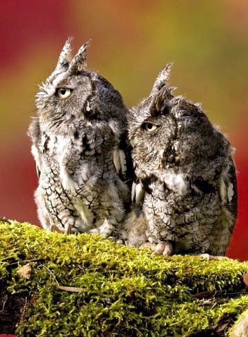 ����� ������� - 15 ������� 2015 � 06:03 - 6