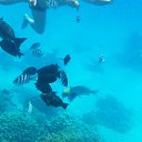 ���� �����, ������, 43 ���� - ��������� 25 ���� 2015 � ������ �������� ����