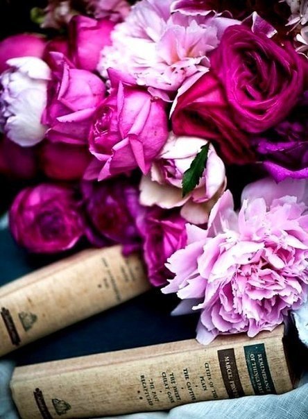    - 13  2015  09:22 - 4