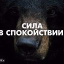 ���� ������, ������������, 39 ��� - ��������� 1 �������� 2015