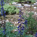 ������������. �� ������� ���� ����������