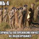 ���� ��������� 1, �����������, 47 ��� - ��������� 18 ���� 2015 � ������ ���� ����������