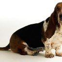 ���� Sall ������*�f (��������), ������, 39 ��� - ��������� 10 ���� 2015 � ������ ���������� �������