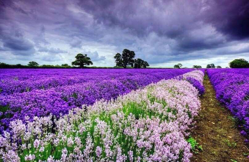�������, �������.#�������@travel.blog