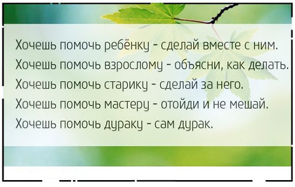 �����, ������, �����. - 16 ��� 2015 � 13:51