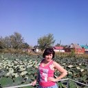 ���� �������, ���������, 58 ��� - ��������� 24 ���� 2015 � ������ ���� ����������