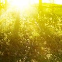 ���� �������, ���� - ��������� 23 ���� 2015 � ������ ������ ��������