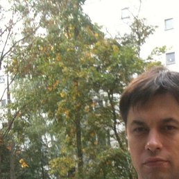 Grizli, ������, 49 ���