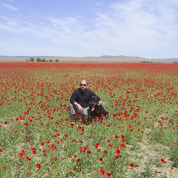 ����, ������, 49 ���