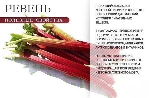 ������� ������� ������� � �������� - 19 ���� 2015 � 16:31