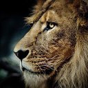 ���� ������, �����-��������� - ��������� 16 �������� 2015