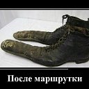 ���� C�����, �����-���������, 52 ���� - ��������� 28 ���� 2015 � ������ �������� �����