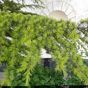 �������� ����. �� ������� �������