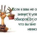 ���� ������, ������, 54 ���� - ��������� 30 ������� 2015 � ������ ������ ��������