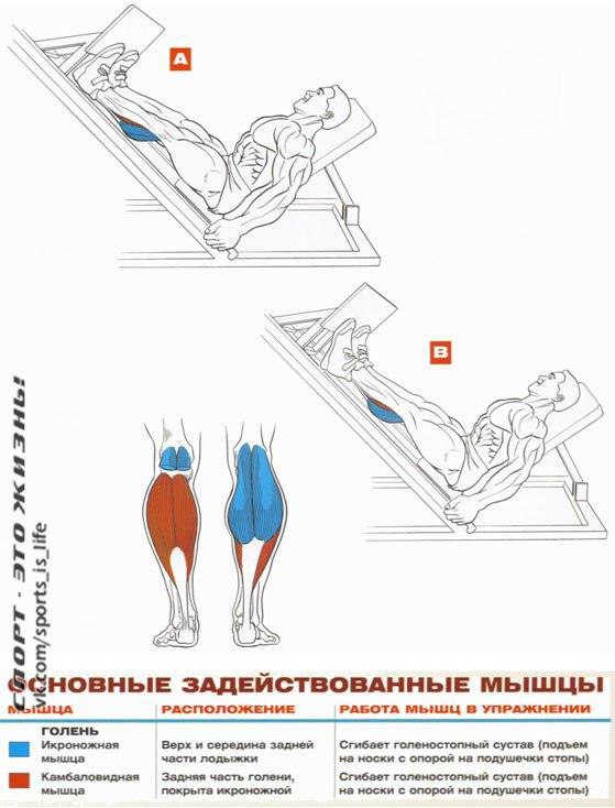  +    . 2#SPORT_@sports_is_life  - 4