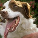 ���� �����, �����-��������� - ��������� 18 ���� 2015 � ������ ���� ����������