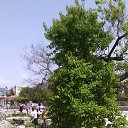 ���� �����, ������ - ��������� 28 ��� 2015 � ������ ������� 2015�