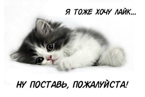   ... - 24  2015  15:30