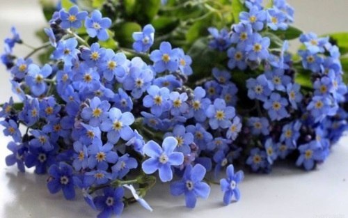 Когда человек становится родным, ты не воспринимаешь его как собрание плюсов и минусов. Он для тебя ... - 2