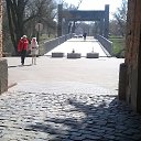 ���� �����, �����, 40 ��� - ��������� 3 ��� 2015 � ������ �����������