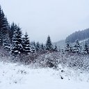 ���� ������, �����-��������� - ��������� 16 ��� 2015 � ������ ����� (���� vs ����)�