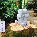 ���� Mitsuko, ������� - ��������� 1 ��� 2015 � ������ ���� ����������