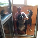 ���� ����, ������, 67 ��� - ��������� 21 ���� 2015 � ������ ���� ����������