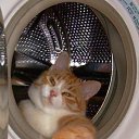 ���� ������, �����-���������, 44 ���� - ��������� 10 �������� 2015 � ������ ���� ����������