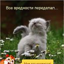 ���� �����, ���������, 43 ���� - ��������� 20 ���� 2015 � ������ ��������....�