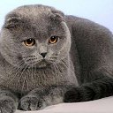 ���� �����, ������, 53 ���� - ��������� 27 ������ 2015 � ������ ������ ��������