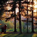  Gennady,  -  10  2015