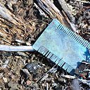 ���� �������, ���������, 49 ��� - ��������� 8 ��� 2015 � ������ ���� ����������