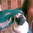 ���� ����, ���������, 60 ��� - ��������� 21 �������� 2015 � ������ ���� ����������