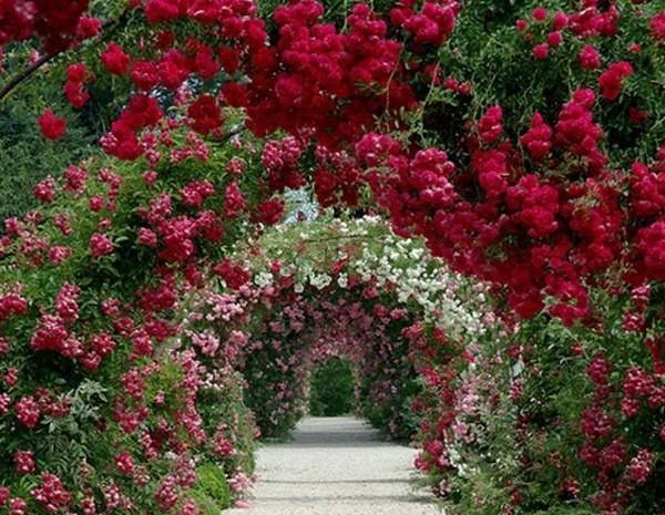 ������ ����, ����������, �� �������� ���� ���������� ����, ��� �� ��� � ������... ���������� � ... - 9