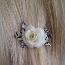 ���� ���������, ����� - ��������� 11 �������� 2015 � ������ ���� ����������