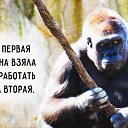 ���� ������, ����������� - ��������� 26 ���� 2015 � ������ ������ ��������