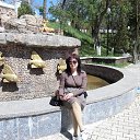 ���� ����� ���, ������� - ��������� 11 ��� 2015