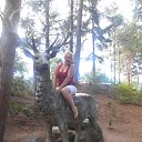 ���� ����, �����������, 50 ��� - ��������� 30 ���� 2015 � ������ ���� ����������