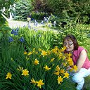 ���� �������, ������, 75 ��� - ��������� 24 ���� 2015 � ������ ���� ����������