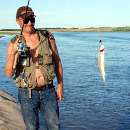 ������, �����