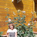 ���� C�������, ������ - ��������� 14 ������� 2015 � ������ ���� ����������