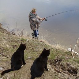 ���� ����, ������ - ��������� 8 �������� 2015