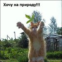 ���� ��������� ������������, ������ �������� - ��������� 26 ���� 2015 � ������ �������