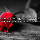 ���� ������, ����, 61 ��� - ��������� 30 ���� 2015 � ������ ���� ����������