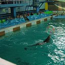 ���� ������, �����-���������, 70 ��� - ��������� 22 �������� 2015 � ������ �� ����������� �����-����������