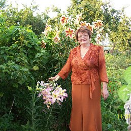 ���� �������, ������, 70 ��� - ��������� 3 ���� 2015