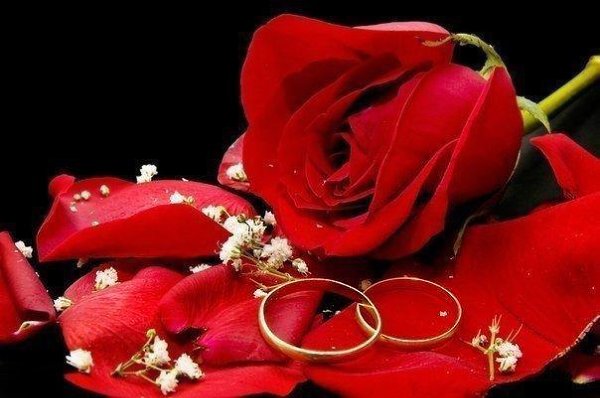 ...������� � ����� ��� ����� ������ � ����� � ��������