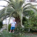 ���� �������, ��������� - ��������� 31 ������� 2015